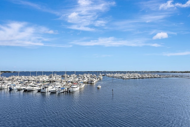 view of water feature with a dock