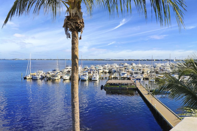 dock area featuring a water view