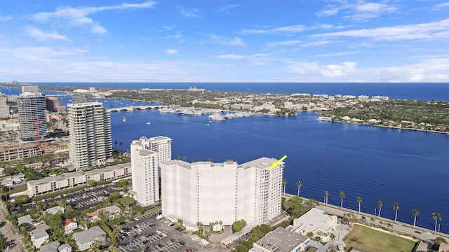 aerial view with a water view