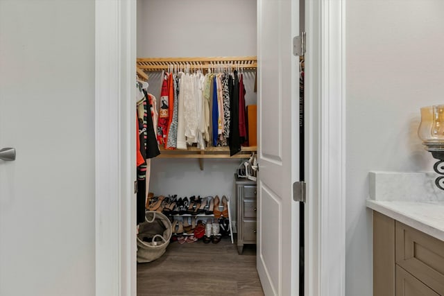 view of closet