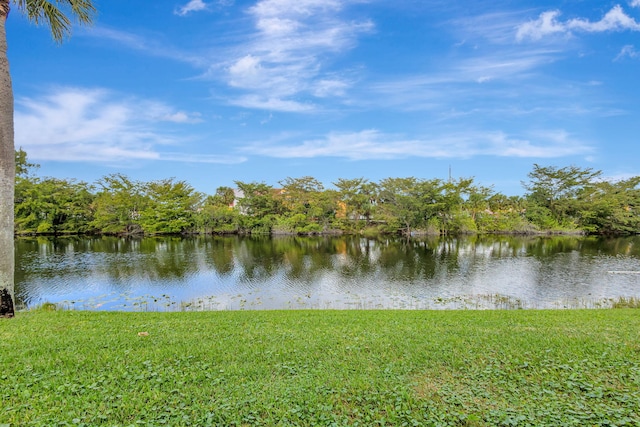 view of water feature