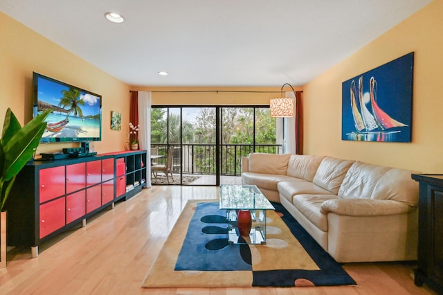 living room featuring hardwood / wood-style floors