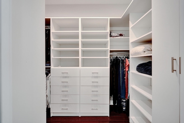 spacious closet with dark hardwood / wood-style flooring