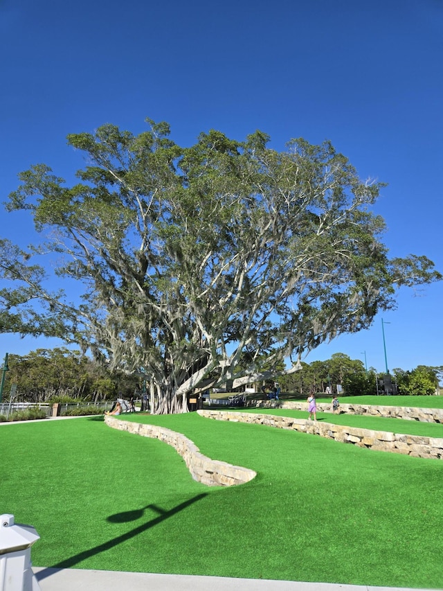 view of property's community featuring a yard