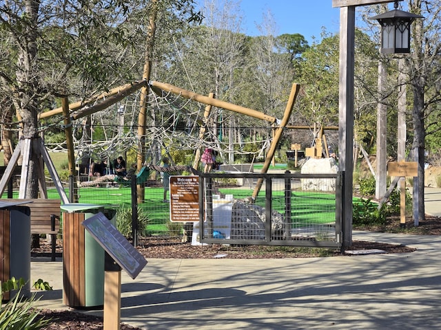 view of jungle gym