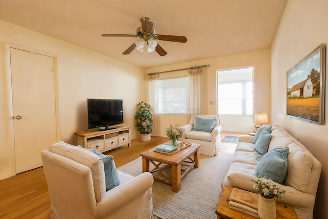 living room featuring ceiling fan and light hardwood / wood-style flooring