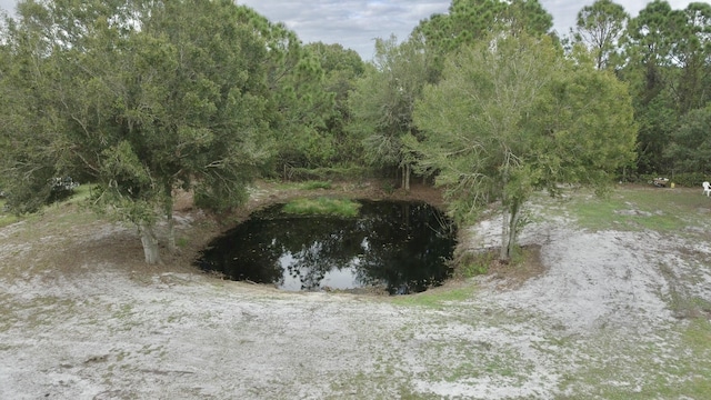 view of local wilderness with a water view