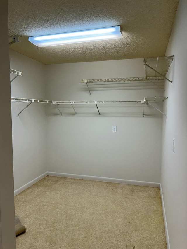 spacious closet featuring carpet flooring