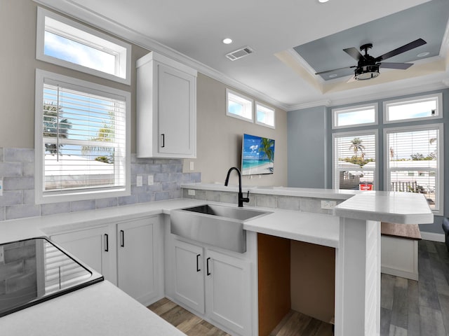 kitchen with sink, white cabinets, kitchen peninsula, crown molding, and plenty of natural light