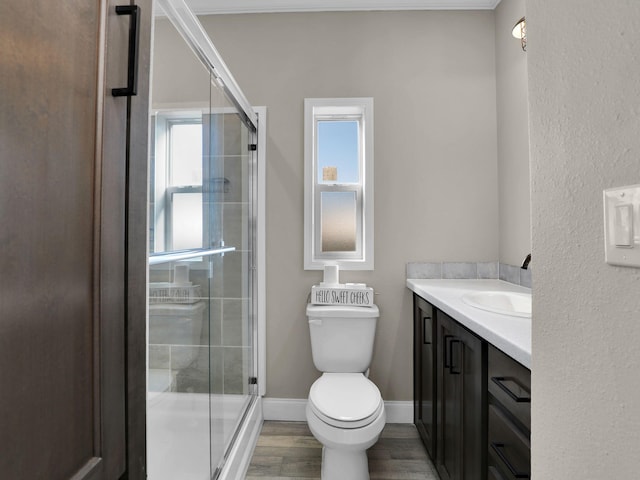 bathroom with vanity, a shower with door, hardwood / wood-style floors, and plenty of natural light