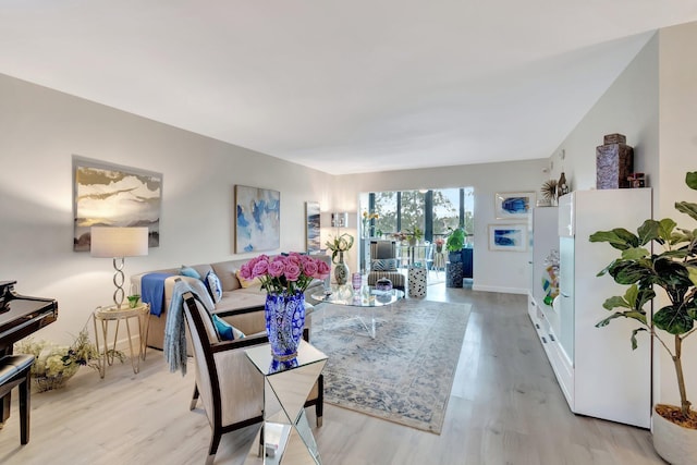 living room featuring light hardwood / wood-style floors