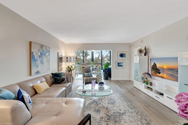 living room featuring hardwood / wood-style flooring