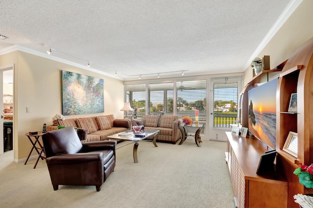 living room featuring crown molding, rail lighting, light carpet, and a textured ceiling