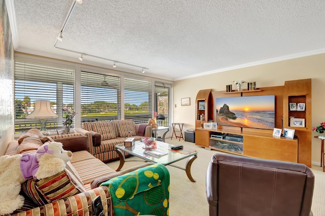 carpeted living room with ornamental molding, track lighting, and a textured ceiling