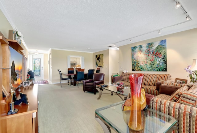 carpeted living room featuring crown molding, rail lighting, and a textured ceiling