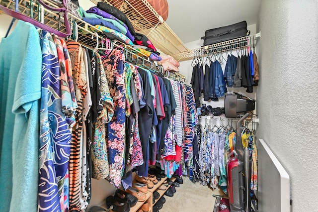 walk in closet featuring carpet flooring