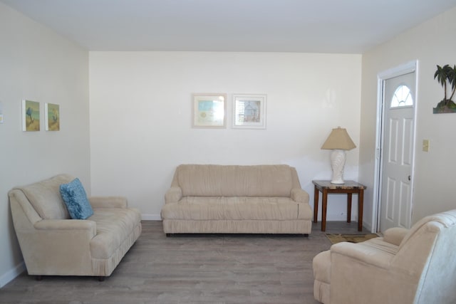 living room featuring wood-type flooring