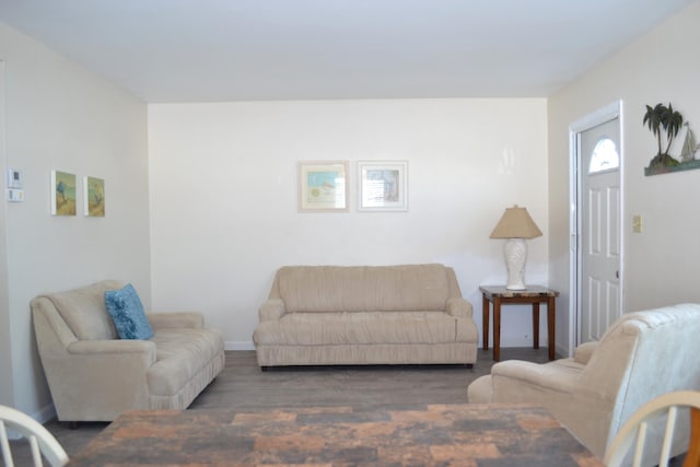 living room featuring dark hardwood / wood-style flooring