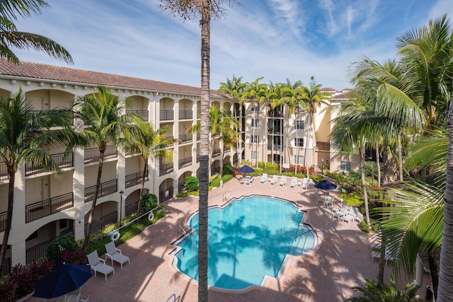 view of swimming pool featuring a patio area