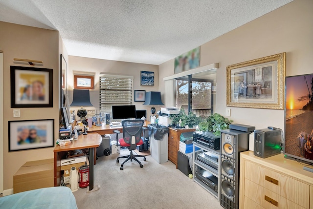 carpeted office with a textured ceiling