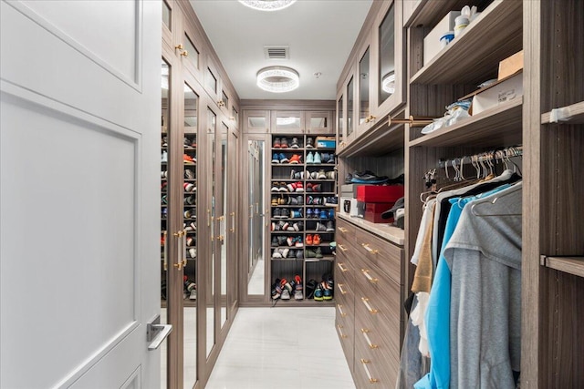 view of spacious closet