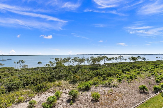 property view of water