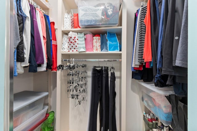 view of spacious closet