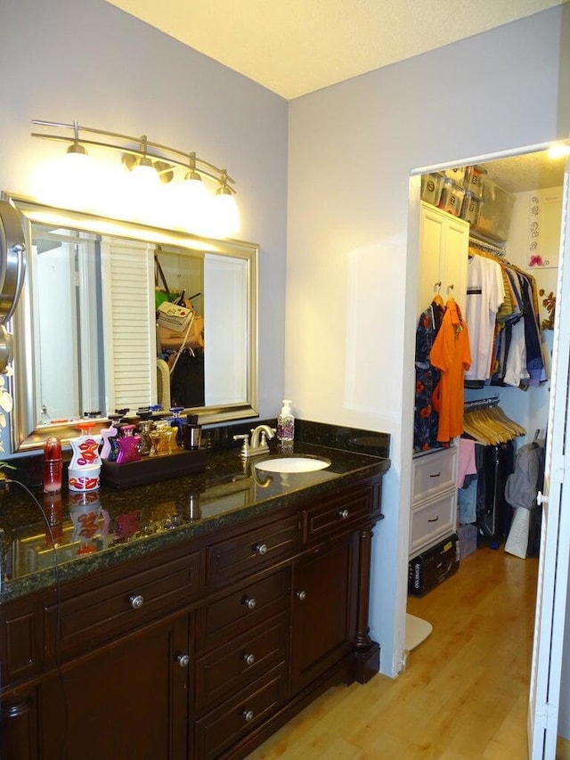 bathroom with wood-type flooring and vanity