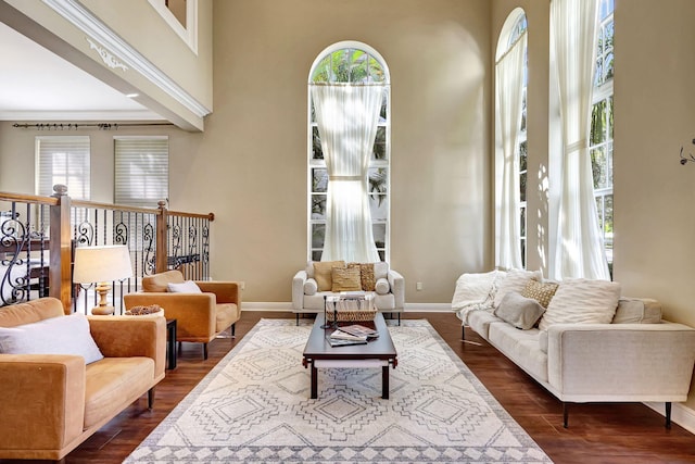 sitting room with dark hardwood / wood-style floors and a high ceiling