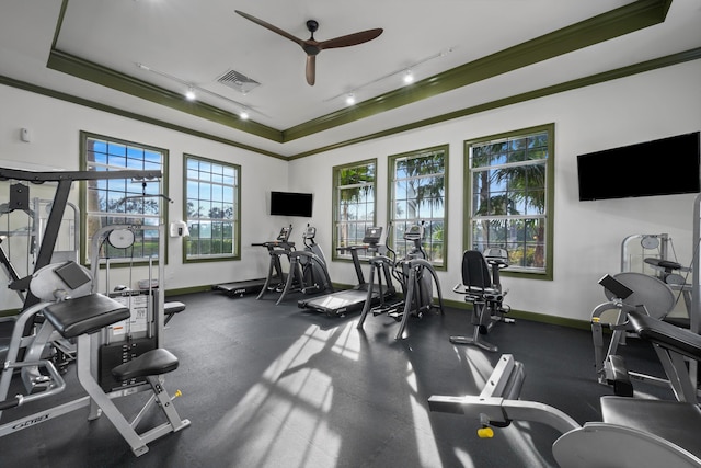 workout area featuring ceiling fan, ornamental molding, rail lighting, and a raised ceiling