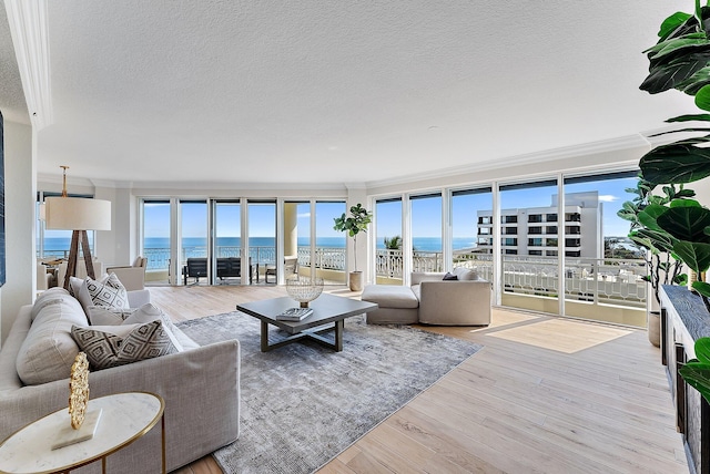 living room with ornamental molding, a water view, a textured ceiling, and light hardwood / wood-style flooring