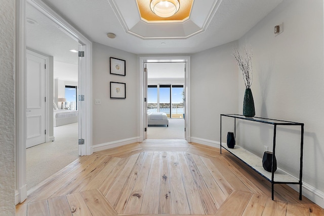 hallway featuring a raised ceiling and light hardwood / wood-style flooring