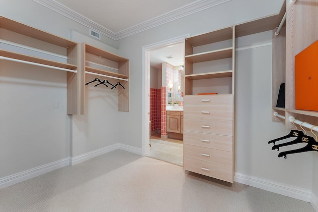 spacious closet featuring light colored carpet