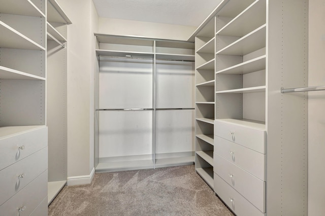 spacious closet with light colored carpet