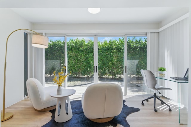 interior space featuring plenty of natural light and wood finished floors