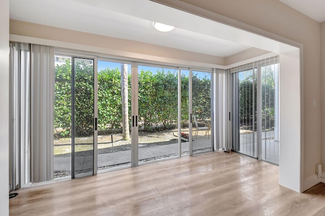 entryway featuring wood finished floors