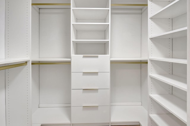 view of walk in closet