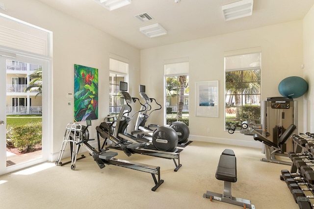 workout area with carpet