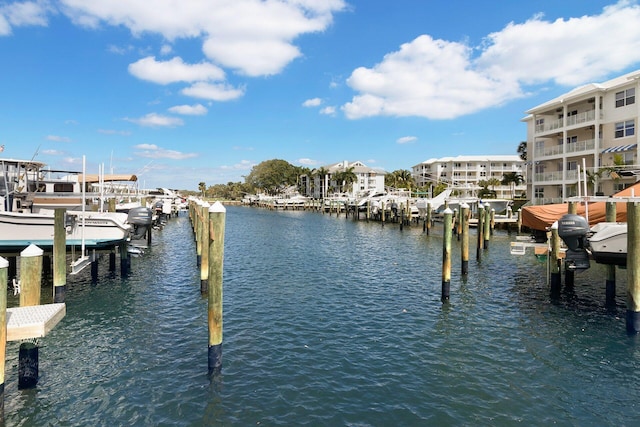 dock area with a water view