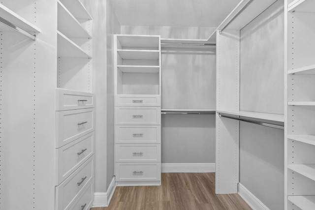 spacious closet featuring light hardwood / wood-style flooring