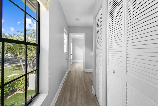 hallway with wood-type flooring