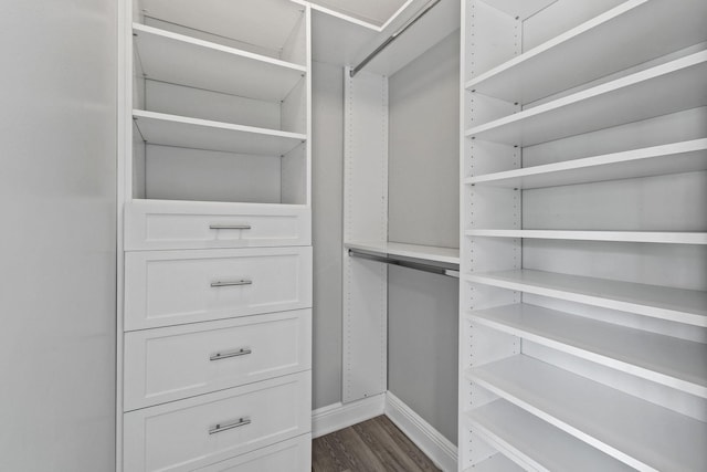 spacious closet featuring dark hardwood / wood-style flooring