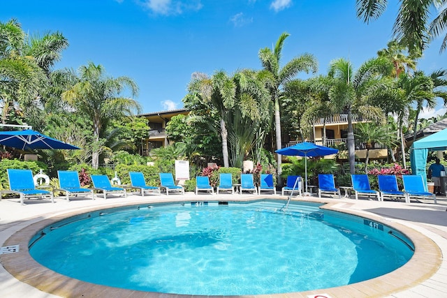 view of swimming pool featuring a patio