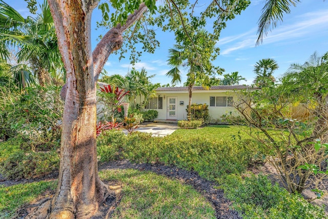 view of front of property featuring a front yard and stucco siding