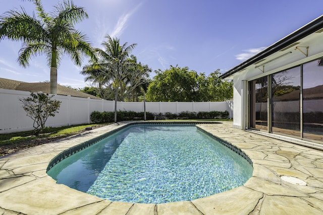 view of pool featuring a patio