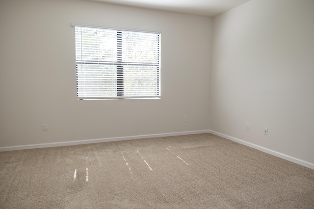 empty room with carpet