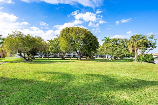 surrounding community featuring a yard