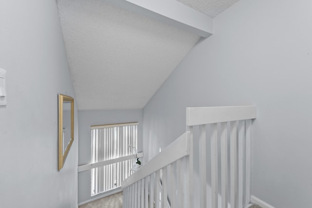 stairway with a textured ceiling