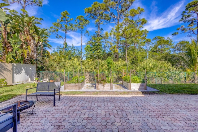 view of community with a fenced backyard, a vegetable garden, and a patio