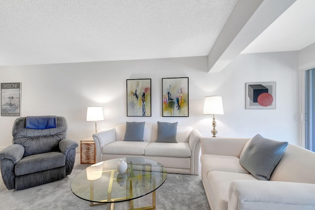 living room with carpet floors and a textured ceiling